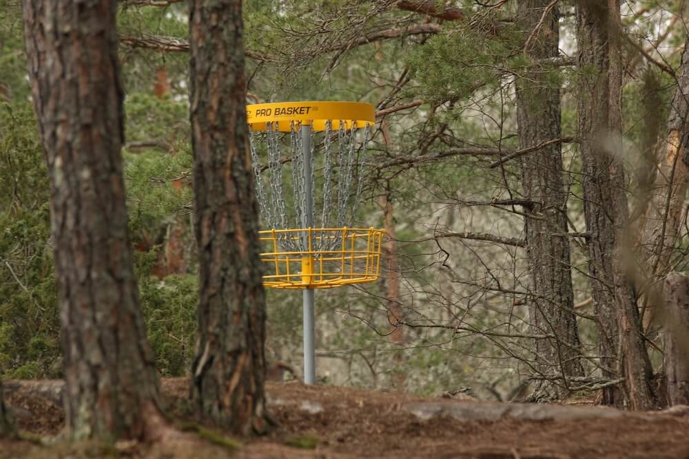 Frisbee golf basket in a tree filled park