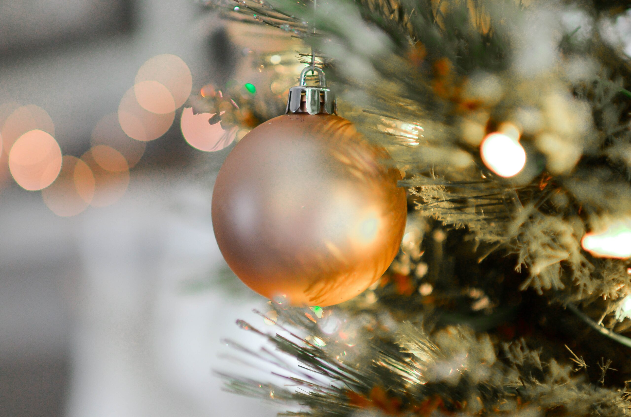 christmas ornament on tree