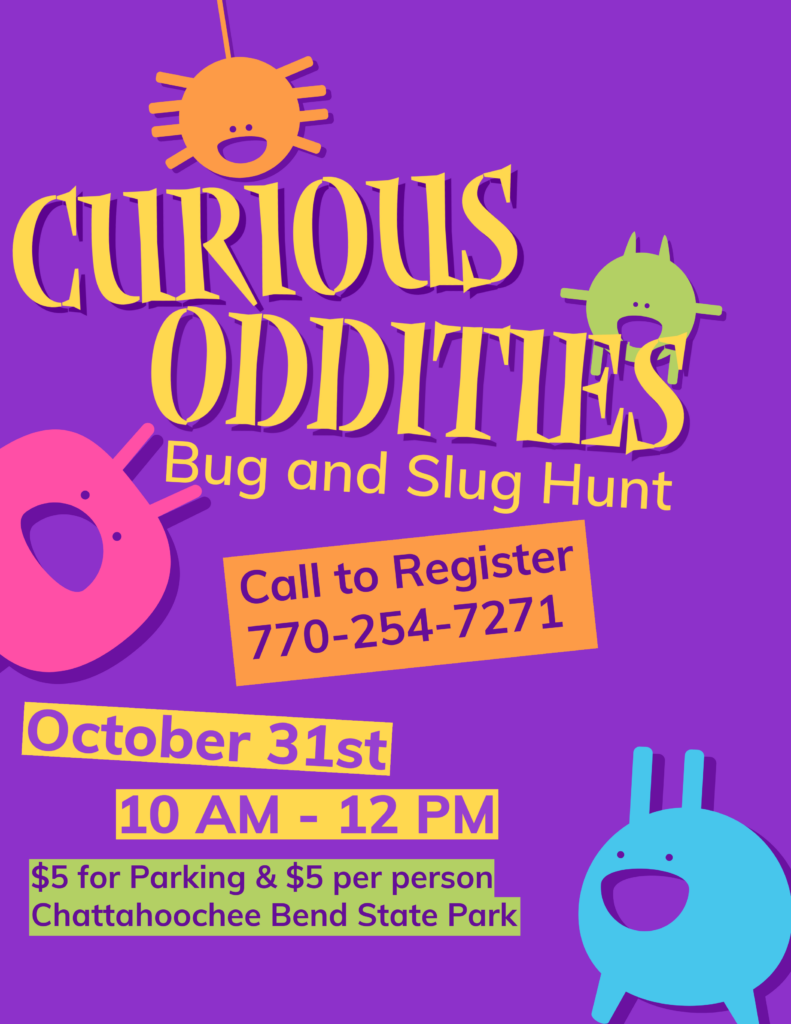 Event flyer for Chatt Bend's Curious Oddities