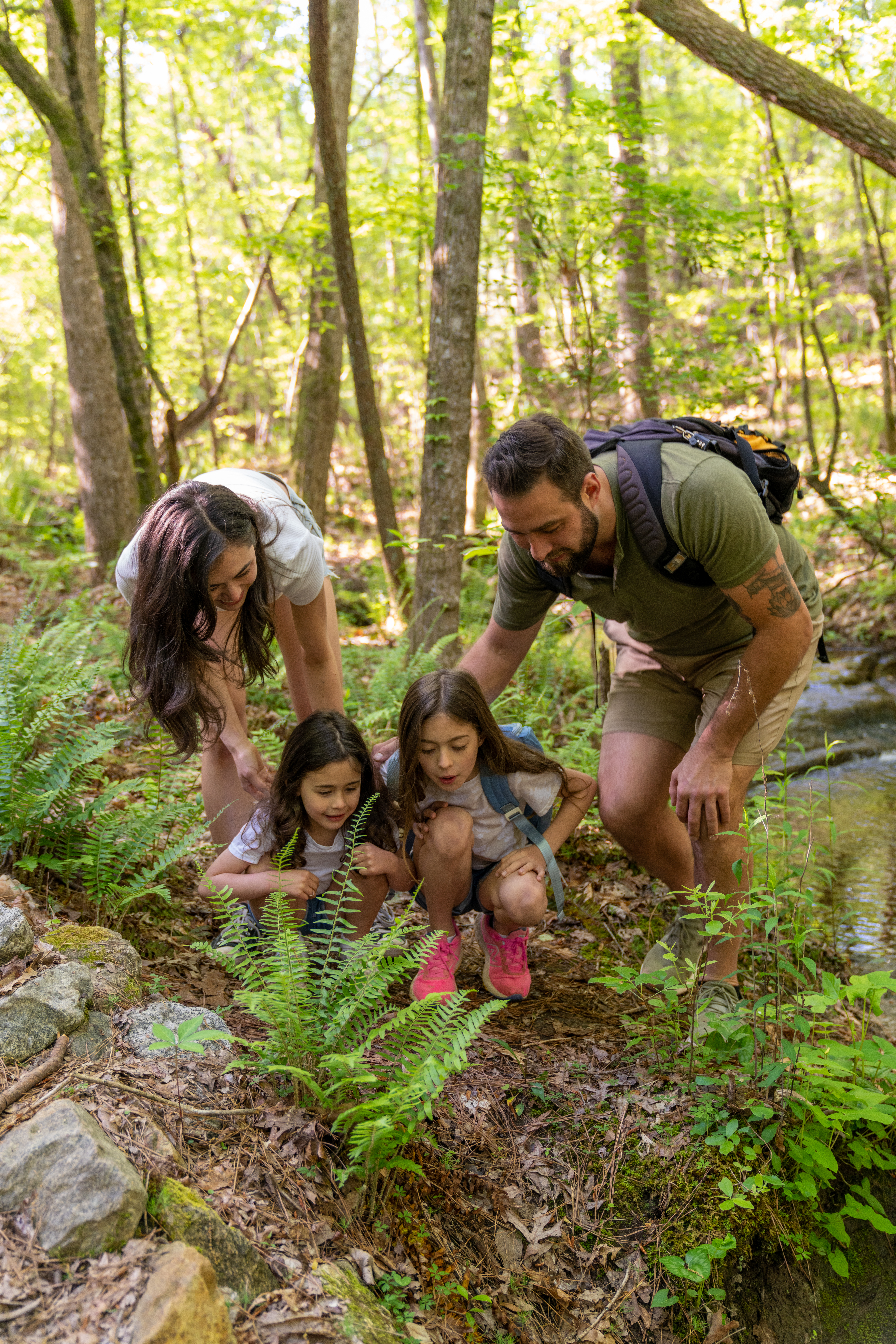 Family of four exploring ferns in the woods
