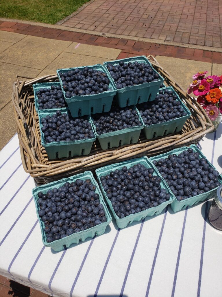 Shot of berries in a basket